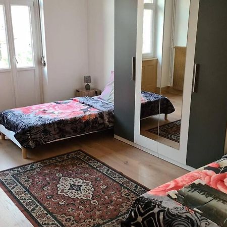 Grand 4P Strasbourg Orangerie 7 Personnes Proche D Allemagne Exterior photo